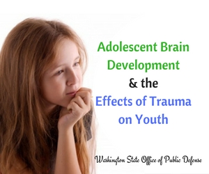 'Adolescent Brain Development and the Effects of Trauma on Youth' Sponsored by the Washington State Office of Public Defense | Pasco 