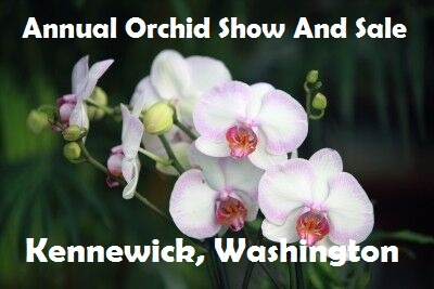 Annual Orchid Show And Sale In Kennewick, Washington