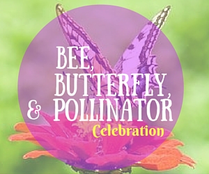 Bee, Butterfly and Pollinator Celebration - Explore the Garden and Learn About Plants, Landscape, Bees and Butterflies | Richland, WA 