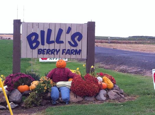 Compassion Day At Bill’s Berry Farm Grandview, Washington