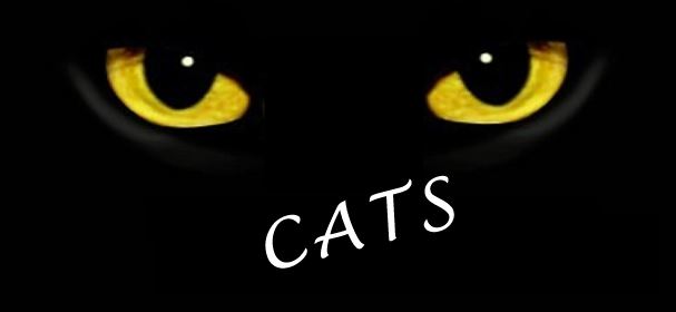Mid-Columbia Musical Theatre Presents - CATS In Richland, Washington