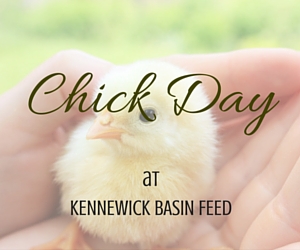2016 Chick  Day: Fun Family Activities with Charlie the Chicken | Kennewick Basin Feed