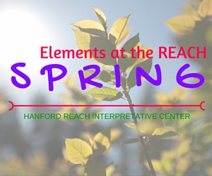 Elements at the REACH -Learn More and Love More the Season of Spring! | Hanford Reach Interpretative Center in Richland, WA