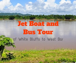Jet Boat and Bus Tour of White Bluffs to West Bar: Savour the Exquisiteness of Columbia River | Richland, WA