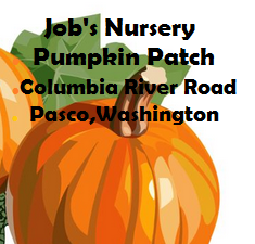 Job's Nursery Pumpkin Patch Columbia River Road In Pasco,Washington