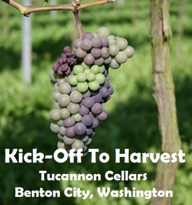 Kick-Off To Harvest Tucannon Cellars Benton City, Washington