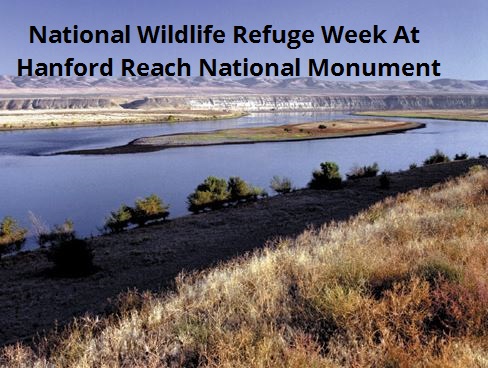 National Wildlife Refuge Week At Hanford Reach National Monument