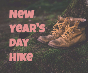 New Year's Day Hike | I-MAC's Annual Trek Up at Badger Mountain in Richland, WA