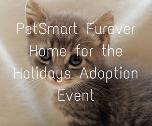 PetSmart Furever Home for the Holidays Adoption Event: Make a Pet's Life Better This Season| Kennewick