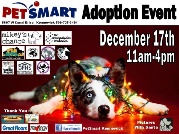 PetSmart Furever Home for the Holidays Adoption Event: Make a Pet's Life Better This Season| Kennewick