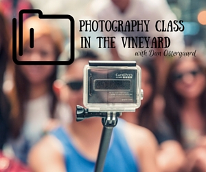 Photography Class in the Vineyard with Dan Ostergaard: A Worthwhile Summer Workshop | Richland, WA