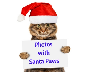 Photos with Santa Paws: High-Quality Photos of Santa With Pets | Pet Over Population Prevention in Richland, WA