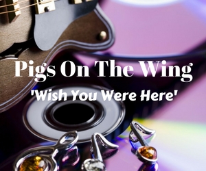 Pigs On The Wing Performs Songs From the Album 