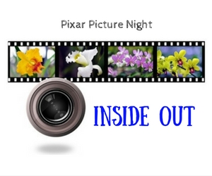 Pixar Picture Night Featuring 'Inside Out' - A Presentation of Confluent Space Tri-Cities | Richland, WA 