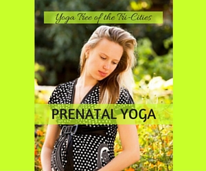 'Yoga Tree of the Tri-Cities' Presents Prenatal Yoga: Smoothing the Way to Giving Birth | Kennewick, WA 