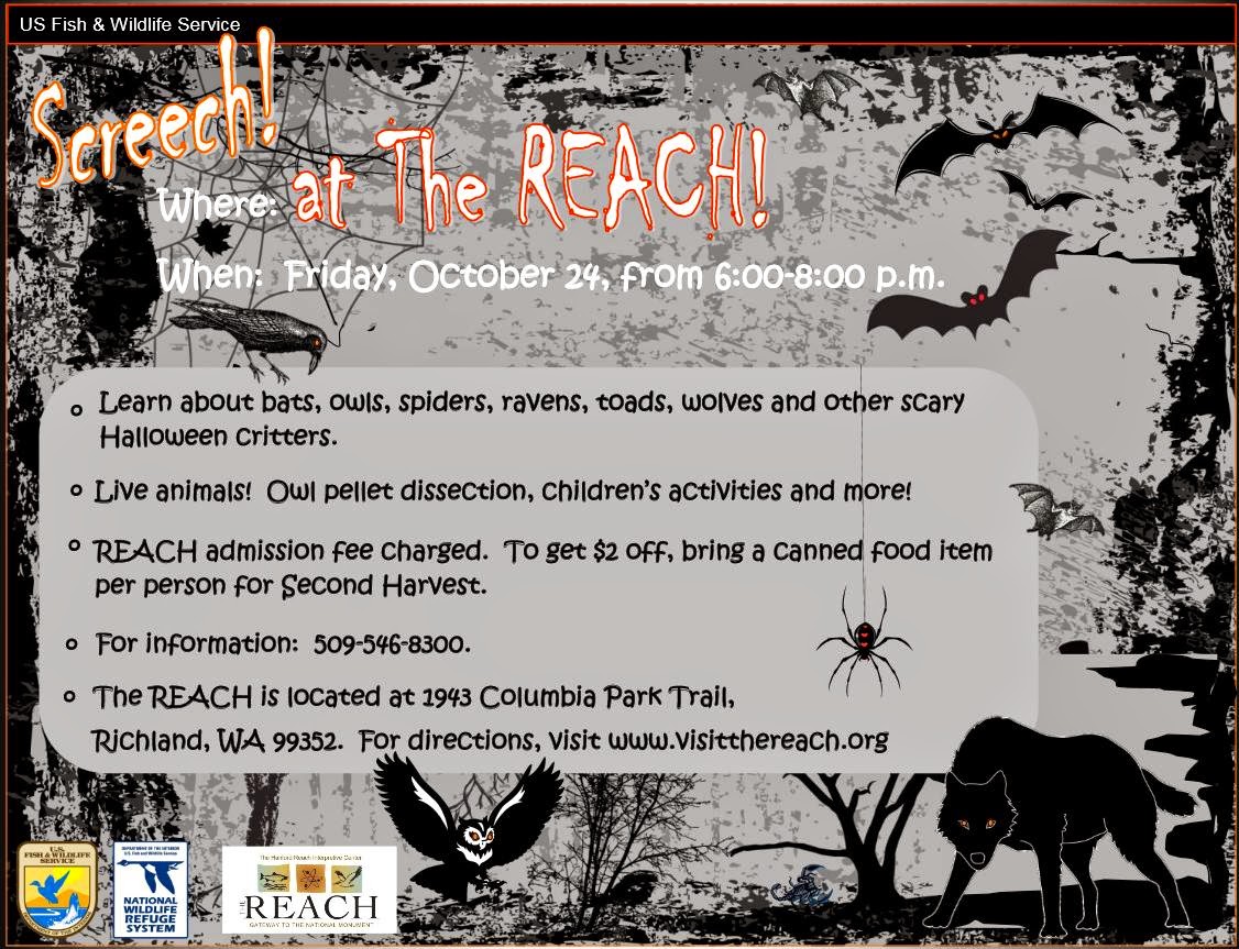 Screech! At The REACH: Halloween Animals In Richland, Washington
