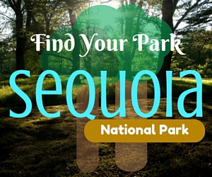 Find Your Park: Sequoia National Park: Explore the Best Spots to Recreate In by REI Kennewick