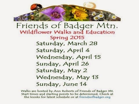 Friends Of Badger Mountain Wildflower Walks & Education Spring 2015 Richland, Washington
