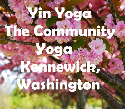 Yin Yoga At The Community Yoga In Kennewick, Washington