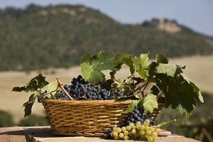 Benton City Washington Homes for Sale & Real Estate