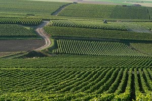 Benton City Washington Homes for Sale & Real Estate