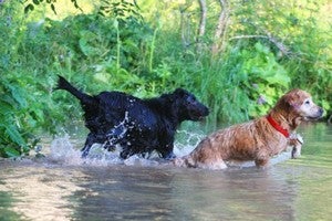 Benton City Washington Homes for Sale & Real Estate