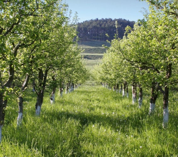 Benton City Washington Homes for Sale & Real Estate 99320