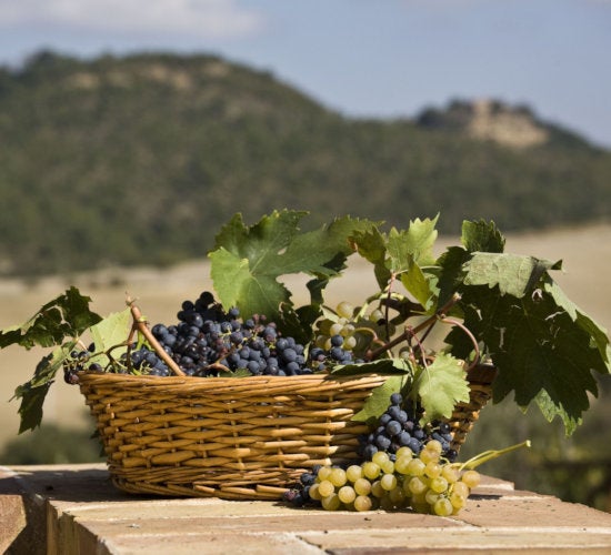 Benton City Washington Homes for Sale & Real Estate 99320