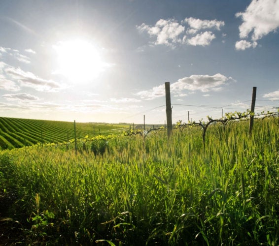 Benton City Washington Homes for Sale & Real Estate 99320