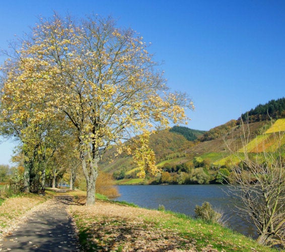 Benton City Washington Homes for Sale & Real Estate 99320