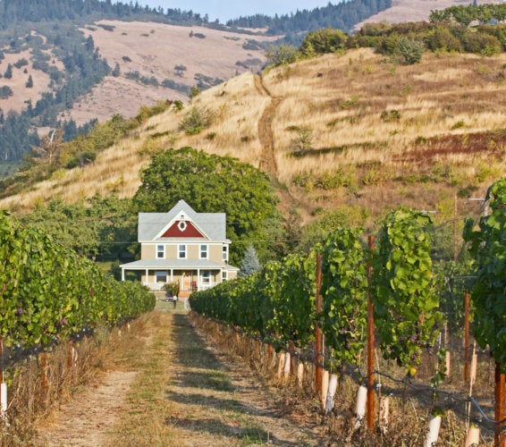 Benton City Washington Homes for Sale & Real Estate 99320