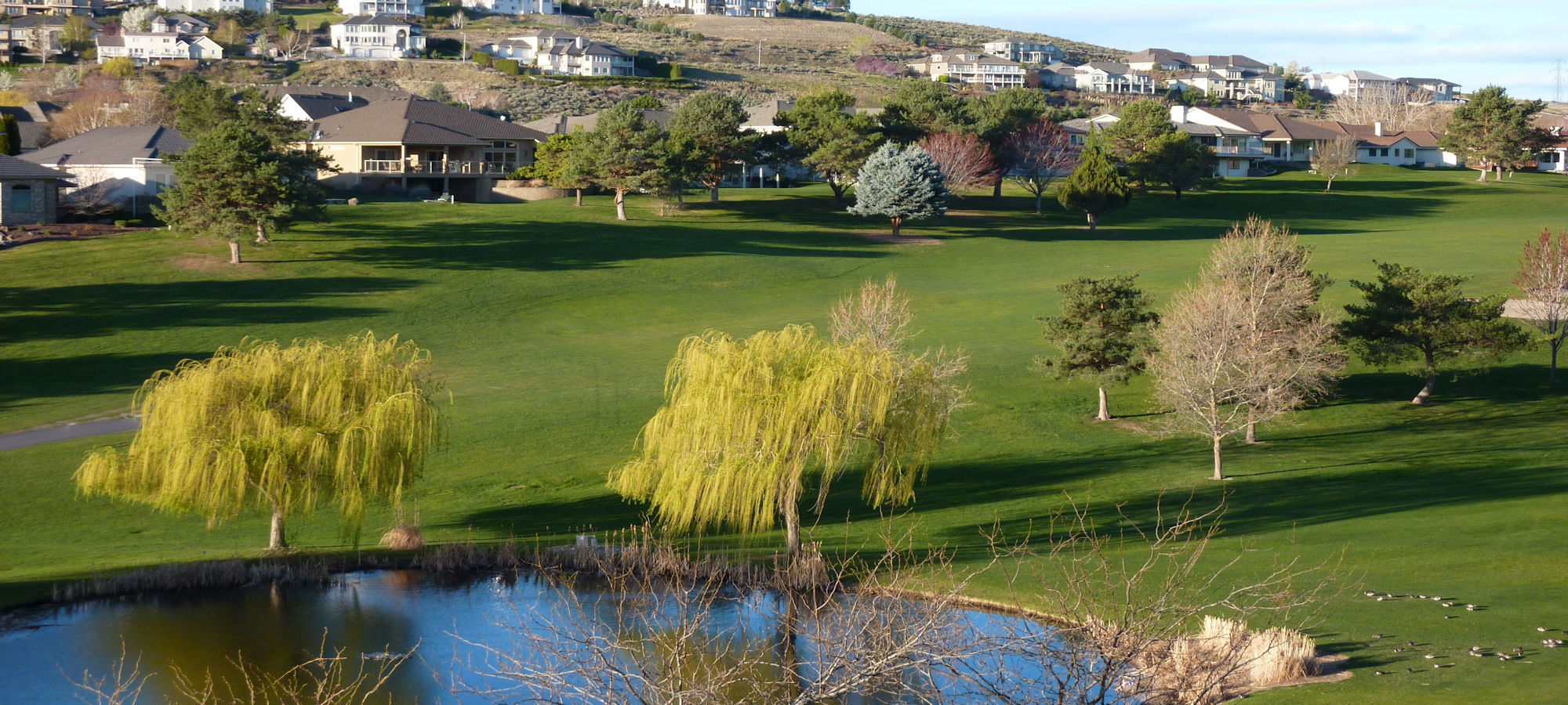 Canyon Lakes Homes for Sale & Real Estate in Kennewick WA | Local Realtor® Company, Houses Updated Hourly, Call or Text Colleen @ 509.438.9344 Available Now!