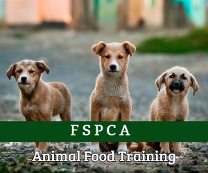 Animal Food Training