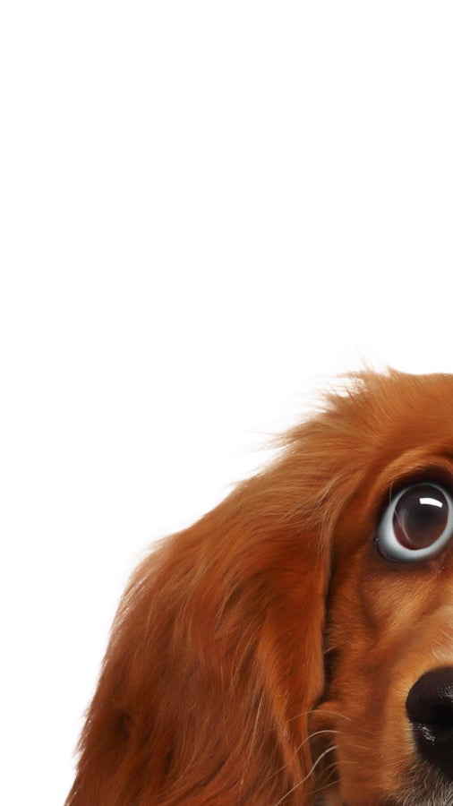 Apartment Buildings For Sale in TriCities WA, 5Plex, Real Estate, MLS