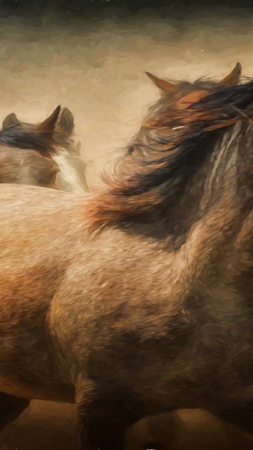 TriCities Washington Horse Properties and Equestrian Real Estate