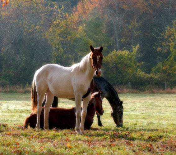 Prosser Washington 99350 Homes For Sale And Real Estate