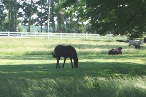 Burbank WA Real Estate & Homes for Sale