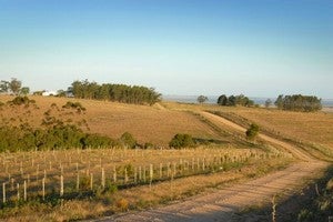 Burbank WA Real Estate & Homes for Sale