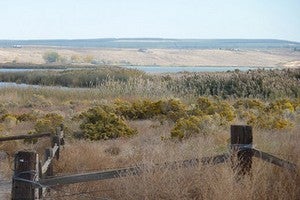 Burbank WA Real Estate & Homes for Sale