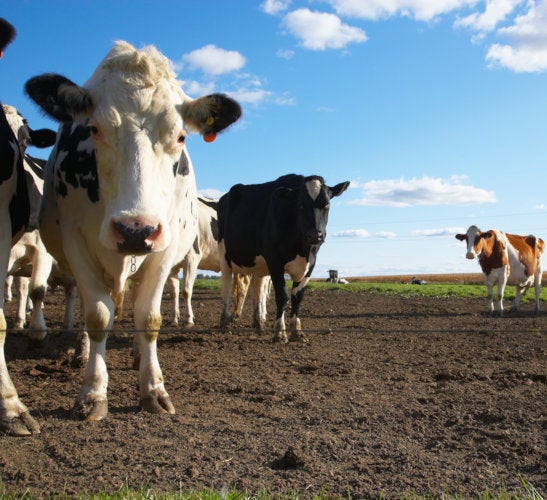 Prosser Washington 99350 Homes For Sale And Real Estate