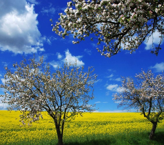 Burbank WA Homes For Sale & Real Estate in 99323