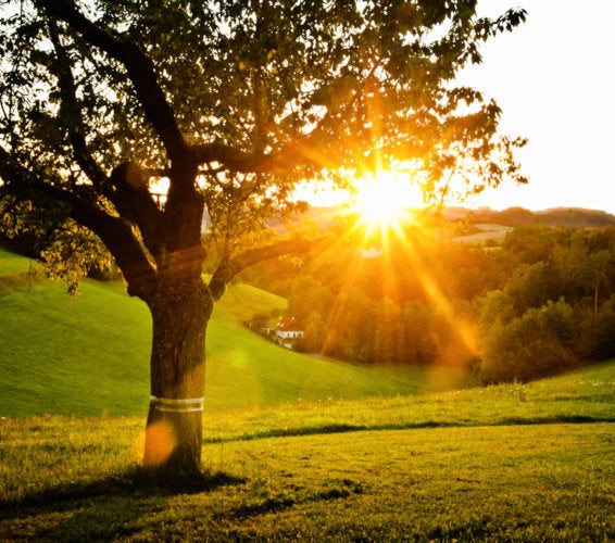 Burbank WA Homes for Sale and Real Estate