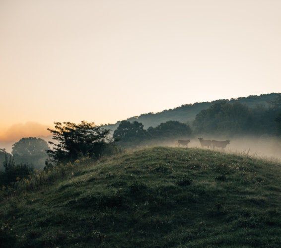 Burbank WA Homes for Sale and Real Estate