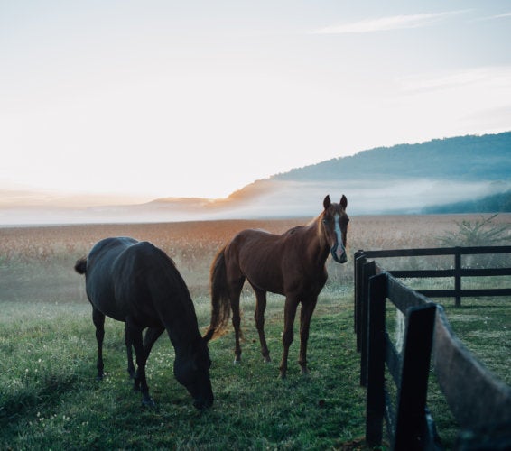 Burbank WA Homes For Sale & Real Estate in 99323