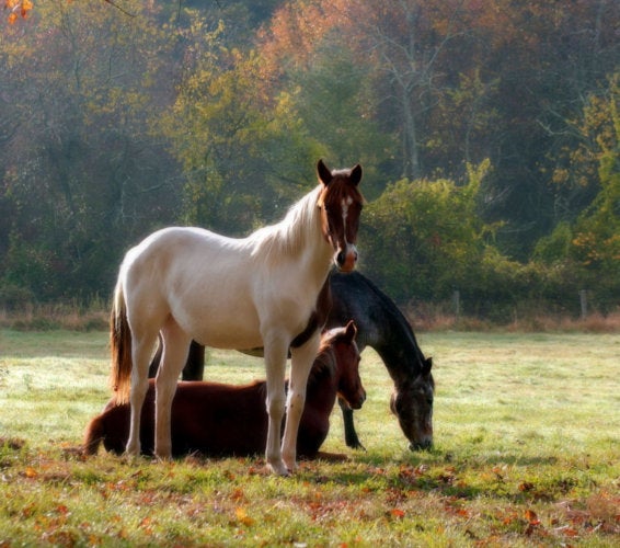 Burbank WA Homes For Sale & Real Estate in 99323