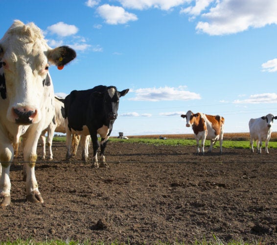 Burbank WA Homes For Sale & Real Estate in 99323