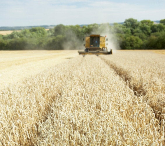 Burbank WA Homes For Sale & Real Estate in 99323