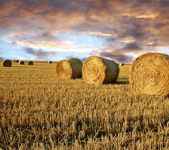 Burbank WA Homes For Sale & Real Estate in 99323