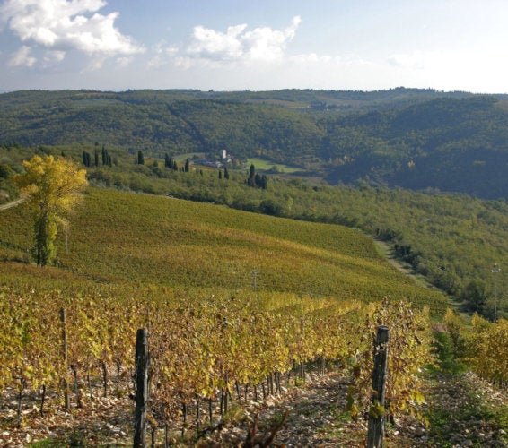 Burbank WA Homes For Sale & Real Estate in 99323