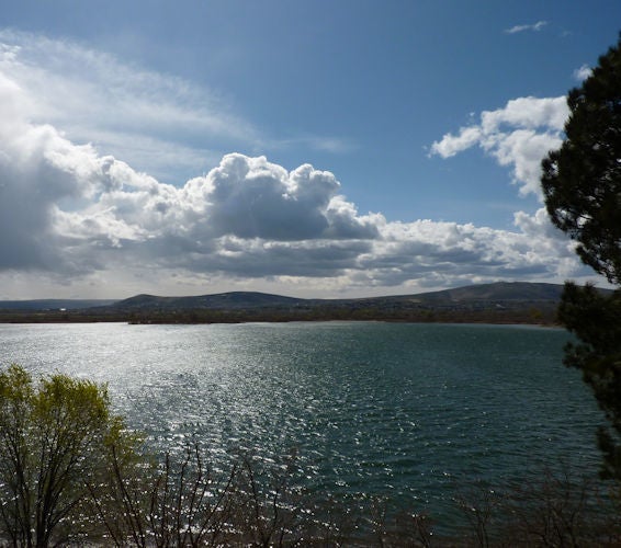 North Richland WA Homes and Real Estate For Sale